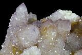 Cactus Quartz (Amethyst) Crystal Cluster - South Africa #132521-3